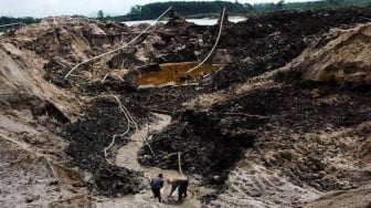 Hitungan Kerugian Dugaan Korupsi Timah Disorot, Harusnya Dilakukan Ahli Geologi Bukan Kehutanan