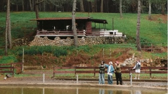 Sambangi Jungle Milk Jayagiri, Spot Camping di Lembang untuk Tahun Baruan