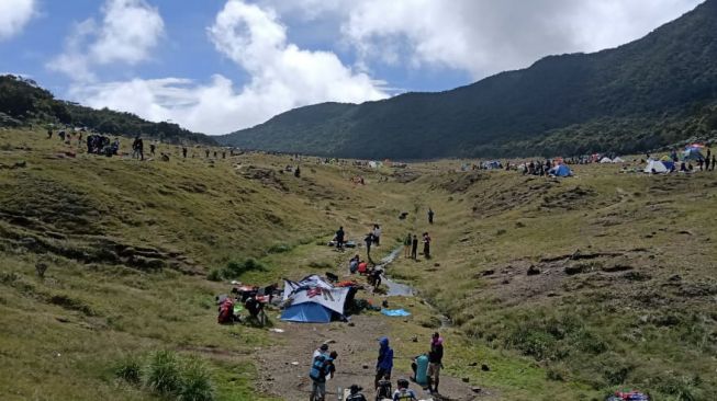 Taman Nasional Gunung Gede Pangrango (TNGGP)  [dolomet.com/Fauzi Noviandi]