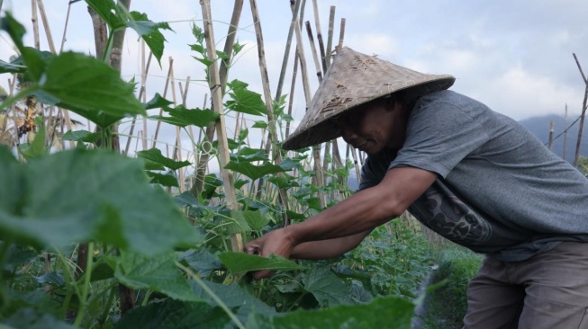 Punya Kekayaan Alam, Desa Angseri di Bali Jadi Desa BRILiaN dengan Tata Kelola Terbaik