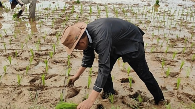 Pilgub Jabar: Menang Versi Hitung Cepat, Dedi Mulyadi Turun ke Sawah